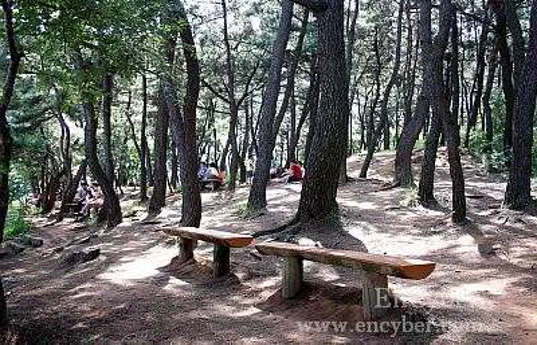 용지공원(용지호수공원)