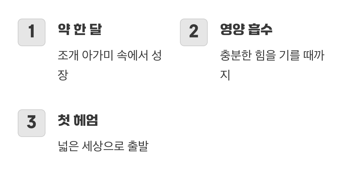 안전한 집에서 시작되는 새 출발