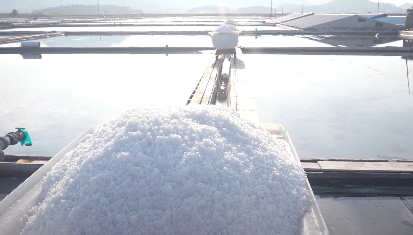 천일염 보관 유통기한