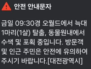 대전 늑대 동물원 오월드 탈출 퓨마 포획 상황
