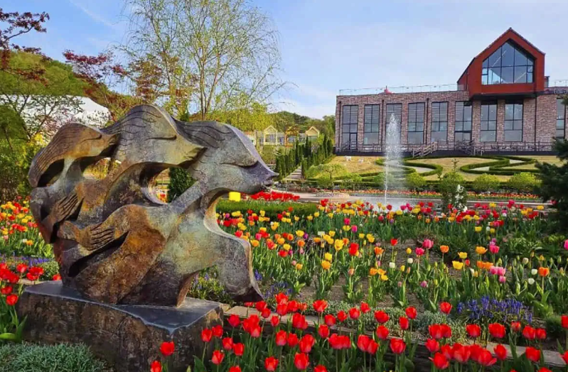 용인 자작나무숲