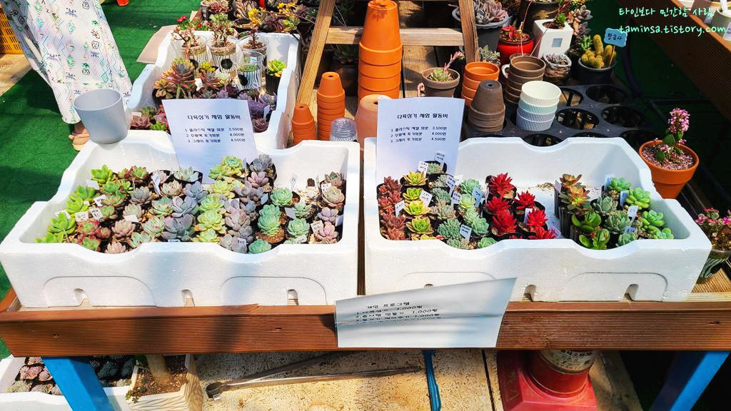 용도수목원-허브식물원