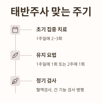 태반주사 맞는 주기