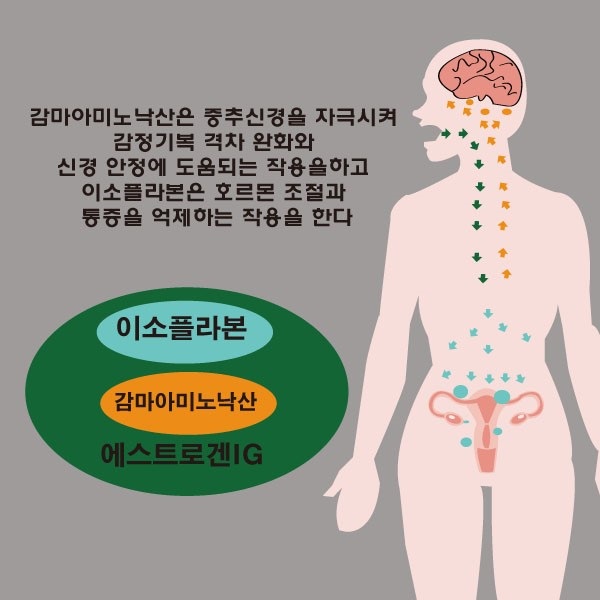 이소플라본 (대두 추출물)
