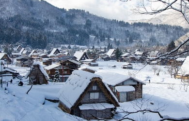 일본 지진 여행 취소