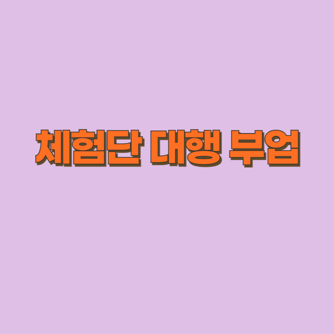 핫한 부업 체험단 대행 관련 자료