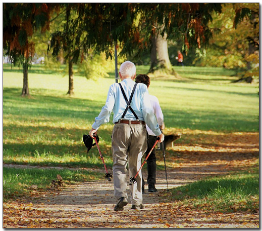 ๊ณต์์์ ๋
ธ๋ฅด๋์ํน์ค์ธ ๋
ธ์ธ๋ค