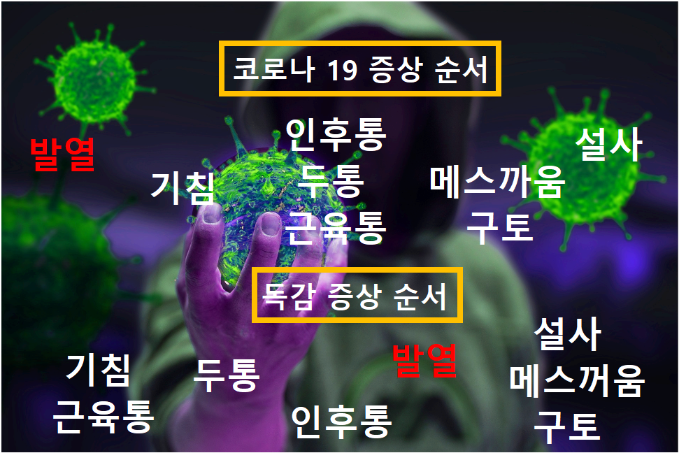 코로나19