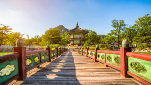 서울시 장애인 치과비용지원 14
