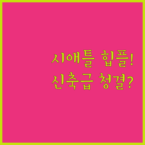 MZ세대 취향 저격 힙한 분위기부터 ..