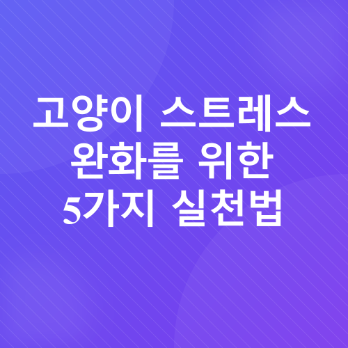 고양이 스트레스 관리_3