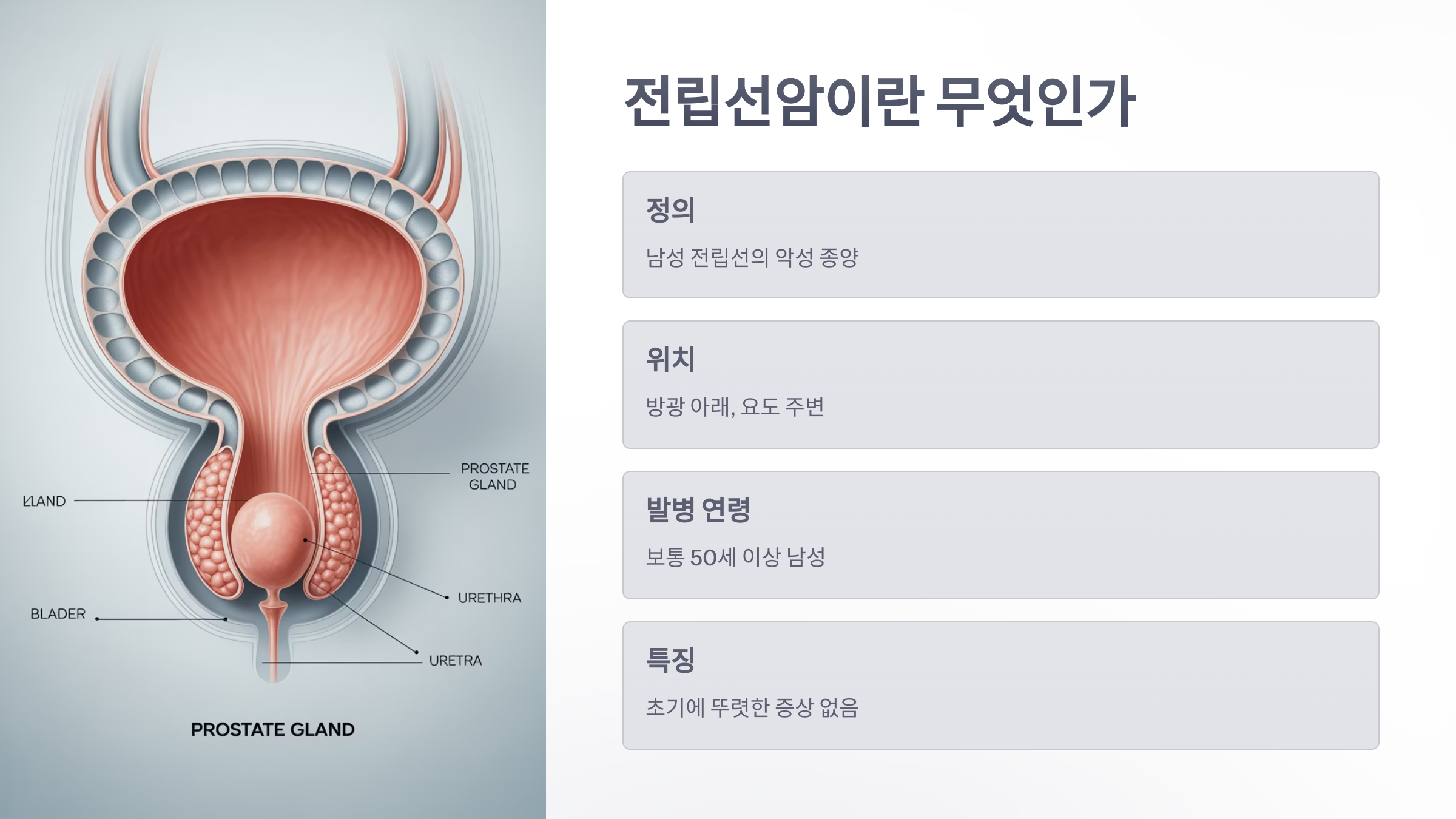 참조-전립선암-2
