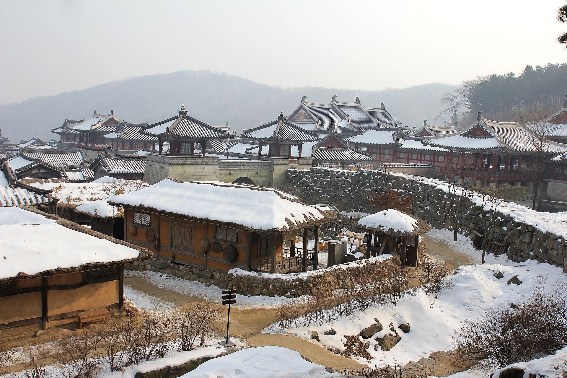 기묘사화 이후 정치변화와 사림의 성장