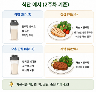 스위치온다이어트-식단표-방법-1주차-2주차-후기-운동