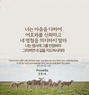 잠언 31장 25절 읽기 - 능력과 존귀로 옷을 삼고 후일을 웃으며_34