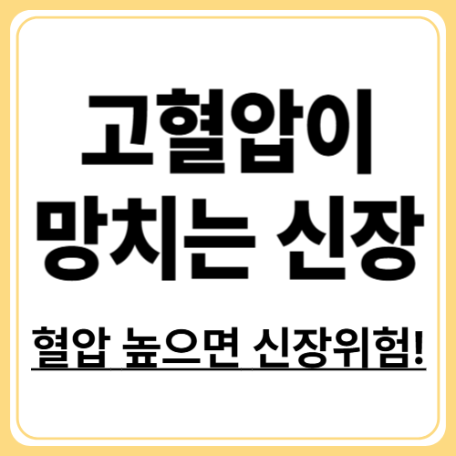 고혈압이 신장을 망가뜨리는 과정 분석