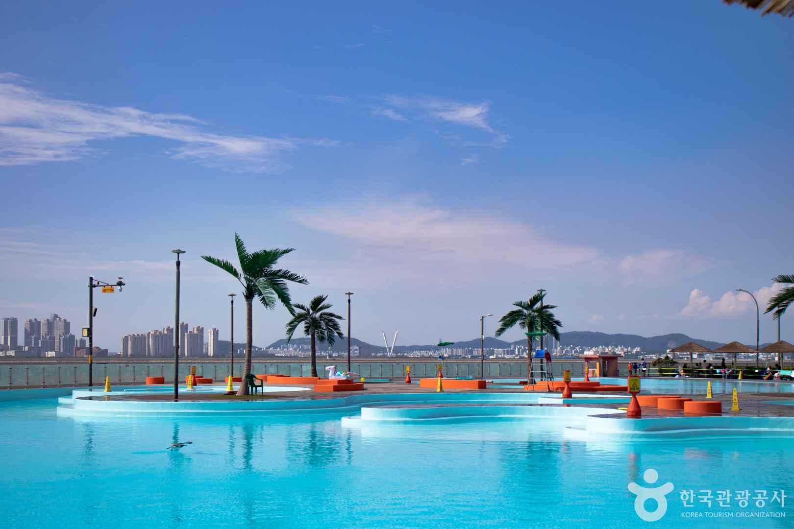 시흥 배곧한울공원 피크닉