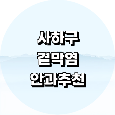 부산 사하구 안과