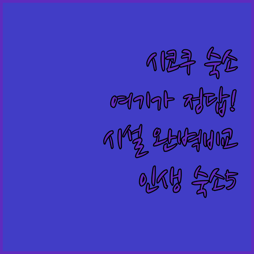일본 시코쿠 여행 숙소 추천 5곳 위..