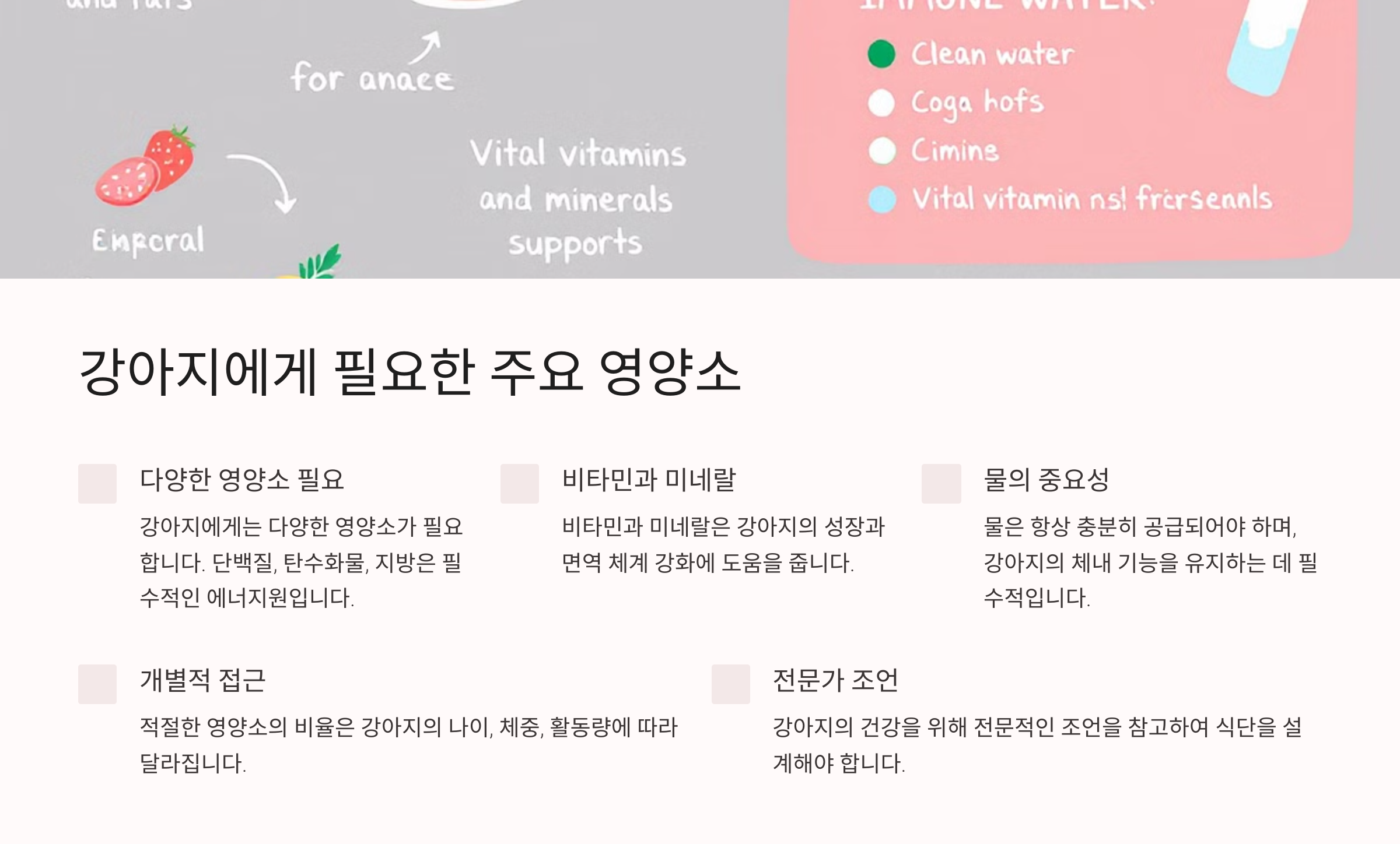 강아지에게 필요한 주요 영양소