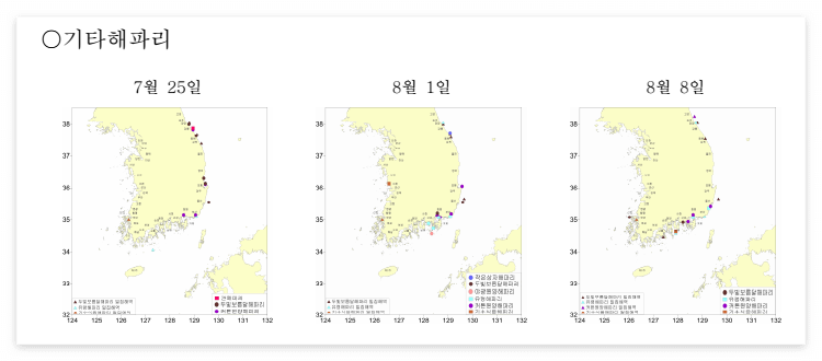 기타 해파리 출현지역