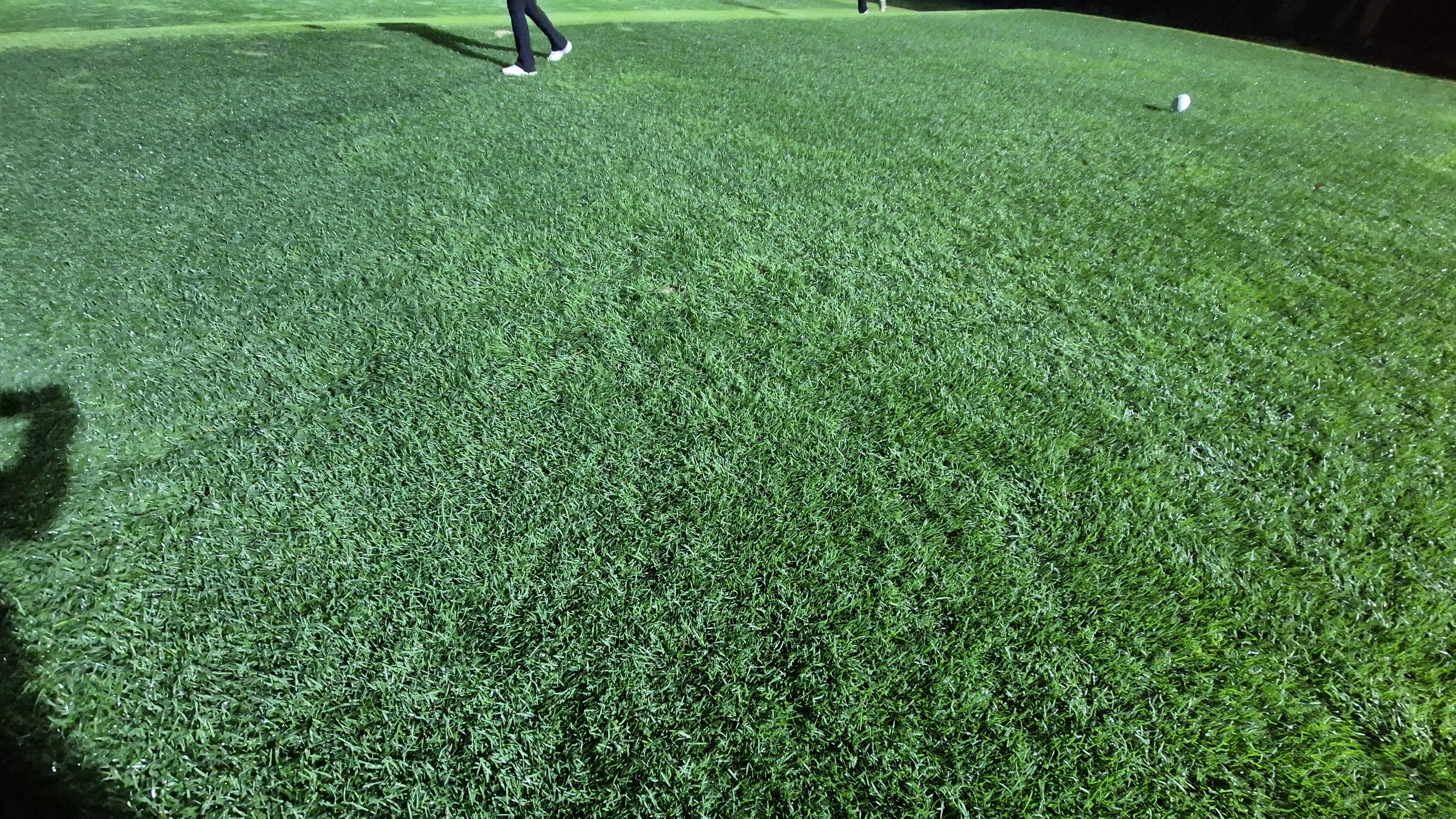 블루원용인cc 티잉구역상태