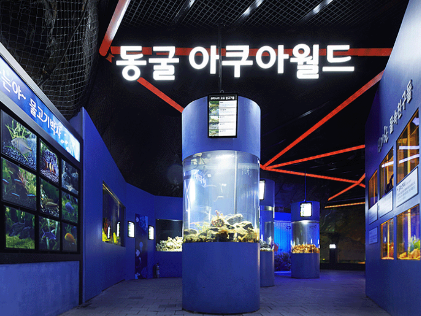 서울 근교 시원한 여행지, 경기도 광명동굴: 동굴 관람, 공룡탐험, 입장료, 주변 맛집 할인 정보