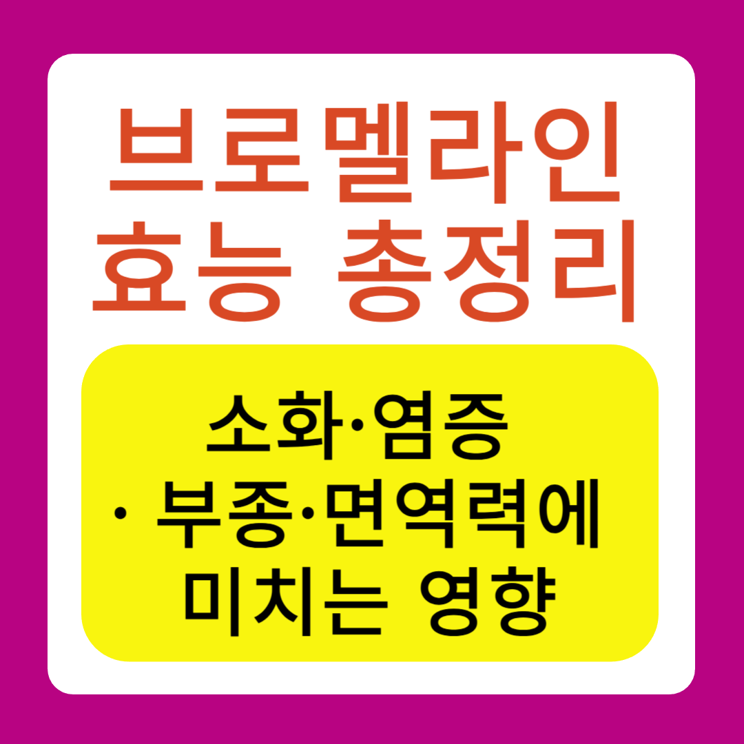 브로멜라인 효능 총정리, 소화, 염증, 부종, 면역력에 미치는 영향