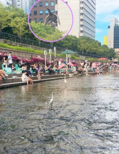 청계천 야외도서관