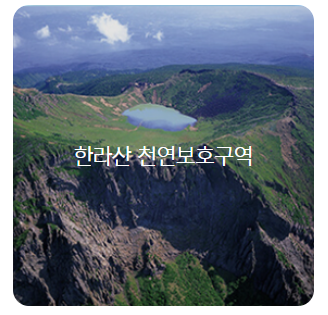 세계유산축전 제주