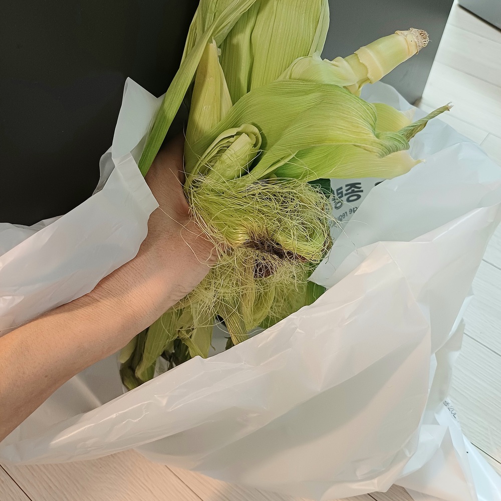 옥수수 껍질과 옥수수수염을 일반 쓰레기 봉투에 넣는 모습