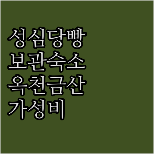 대전역 성심당 빵 보관 가능한 숙소와..