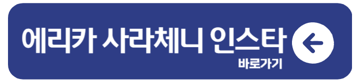 에리카 사라세니 기록과 경계를 넘는 미모 4