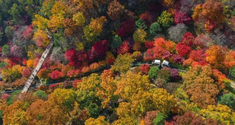 화담숲 모노레일 예약 방법 수선화 반딧불 수국 단풍 축제