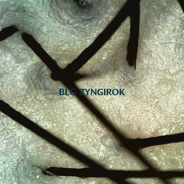 피나모아 복용 23주차 - 정수리 두피 모습이다.