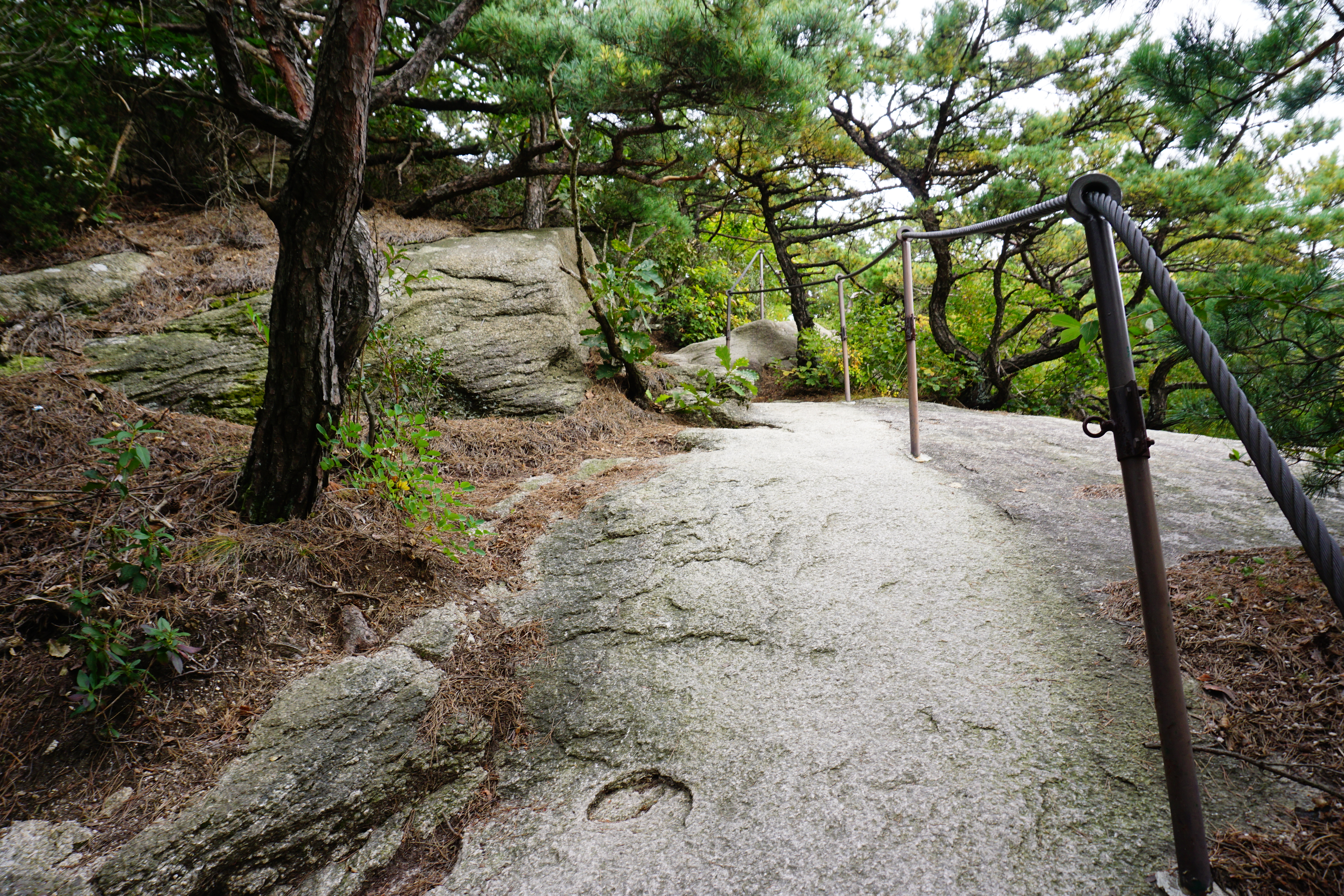 급경사, 철봉과 안전 쇠줄 난간