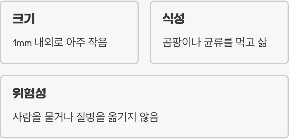 먼지다듬이, 도대체 정체가 뭔가요?