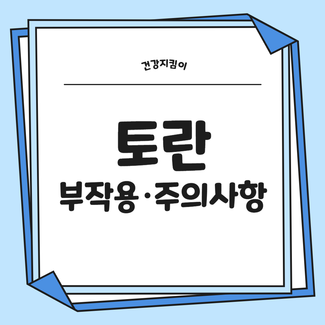 토란 뿌리 효능 부작용 고르는법 칼로리