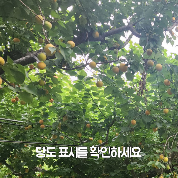 당도 표시를 확인하세요