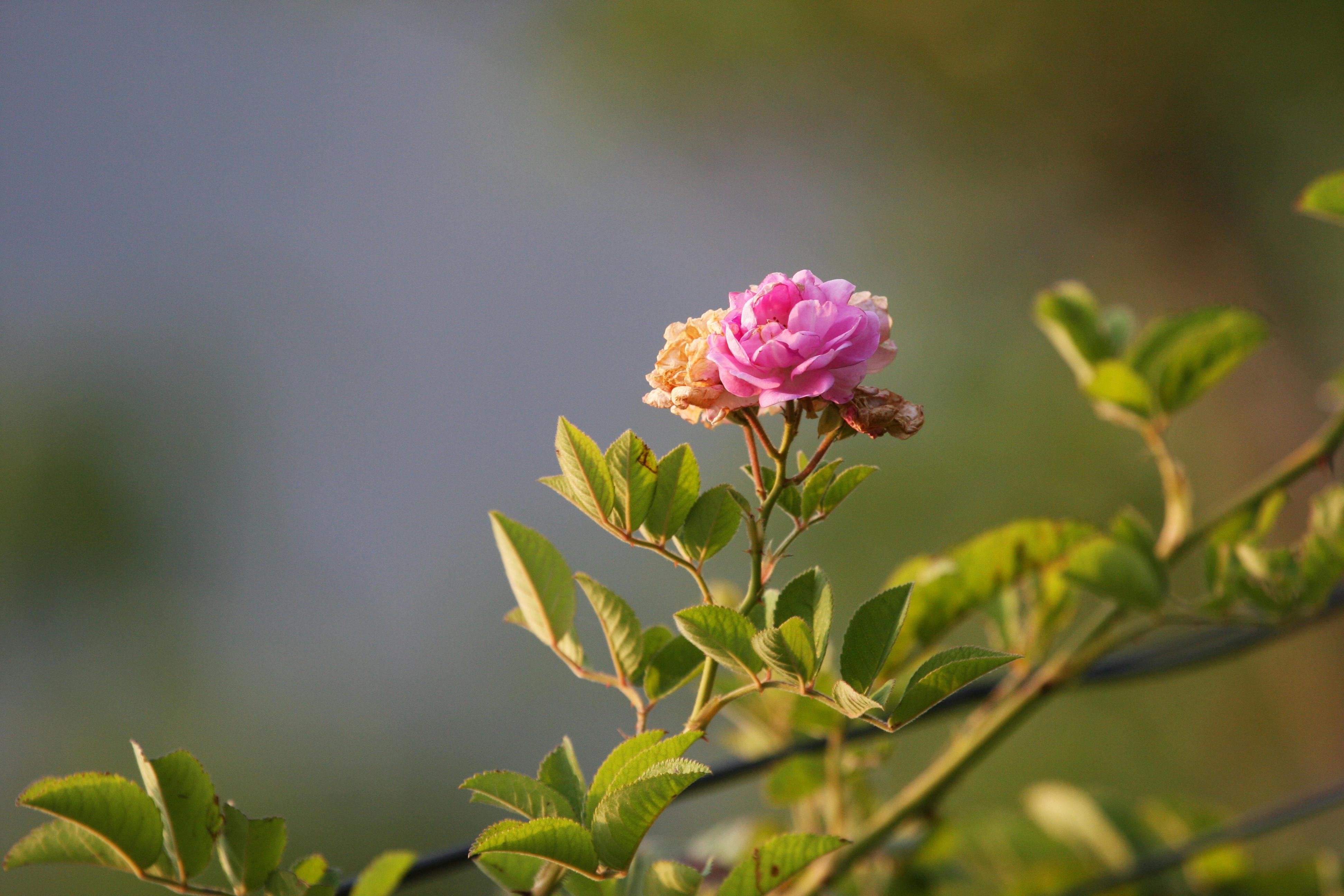 무자일 9월 16일 띠별 운세 대박 조심해야 할 띠