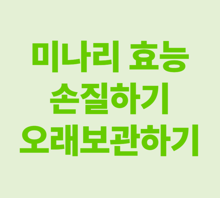 봄철 대표 나물 쌉싸름한 향과 아삭한 식감 미나리 효능 세척 보관법