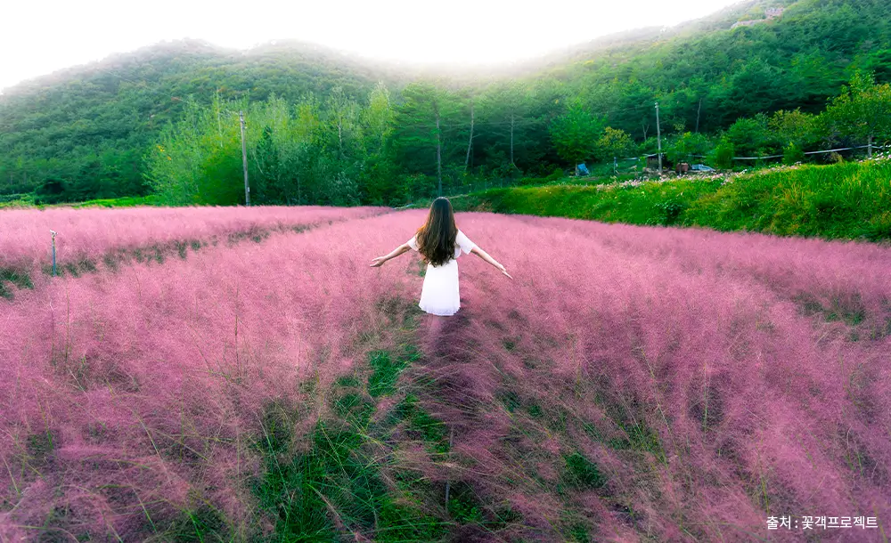 고창 꽃객프로젝트