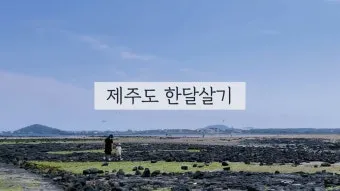 제주도 한 달 살기 아기와 함께하는 특별한 여행 준비 팁_5