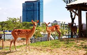 인천 가볼만한곳 베스트 - 송도 센트럴파크