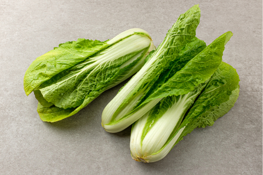 바닥에-놓여있는-얼갈이배추