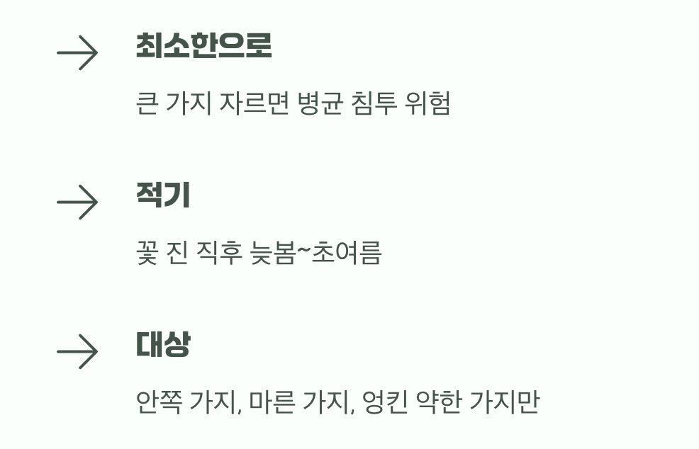 가지치기, 꼭 필요할 때만 최소한으로