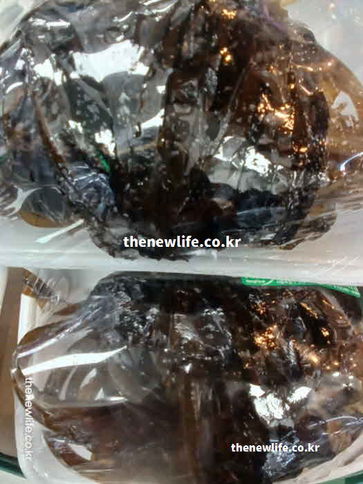 고지혈증 좋은 음식 해조류 미역