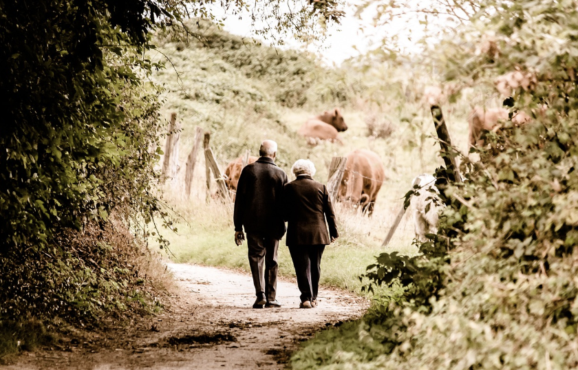 은퇴 드라마 사진