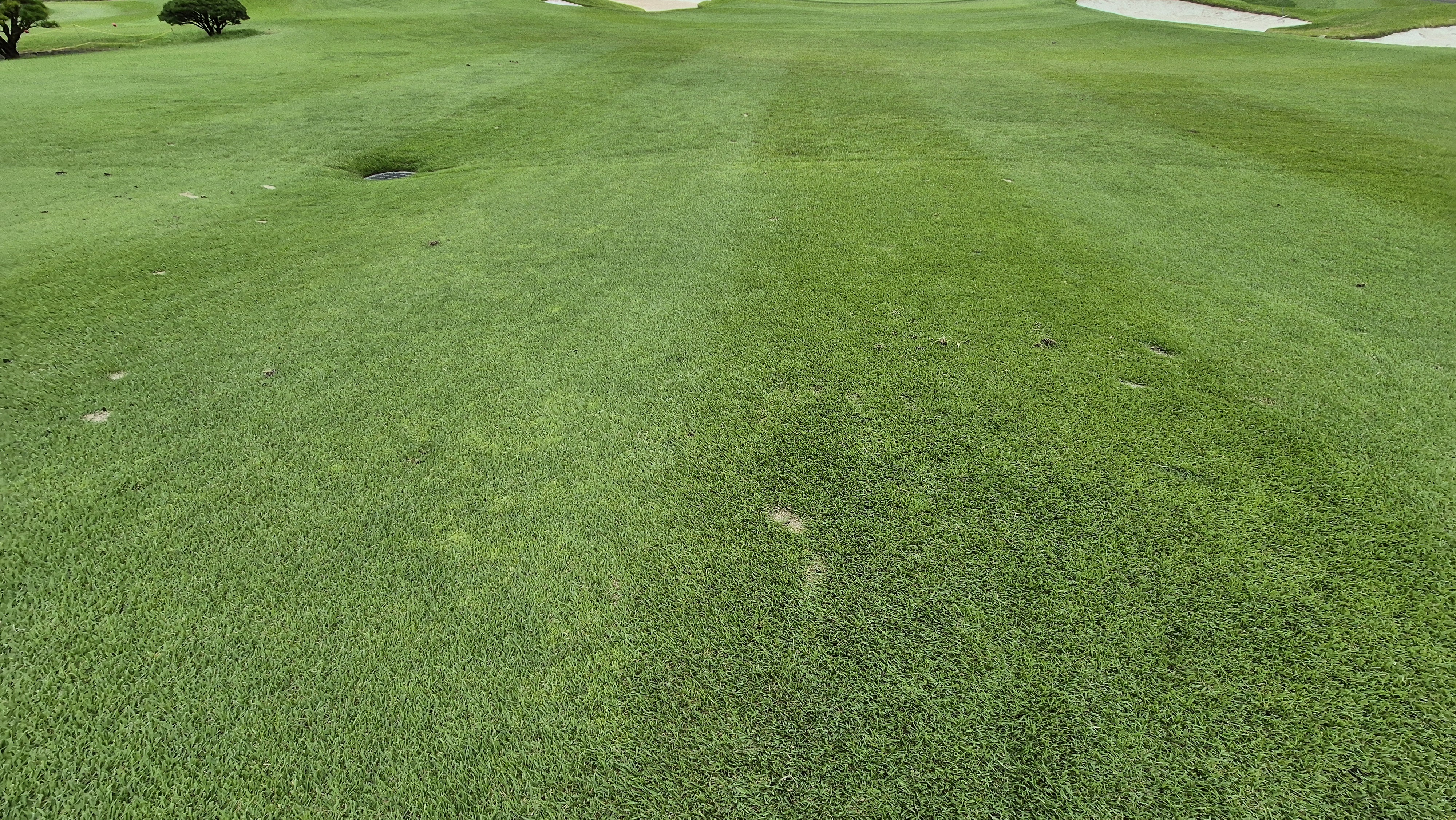 파인스톤cc 코스 난이도