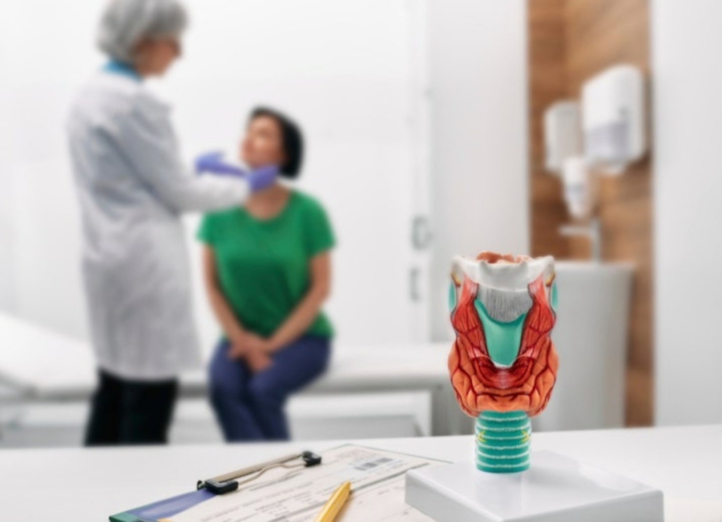 갑상선 기능 항진증 증상